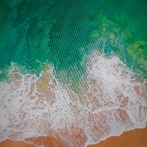 Meet your Posher, Omar